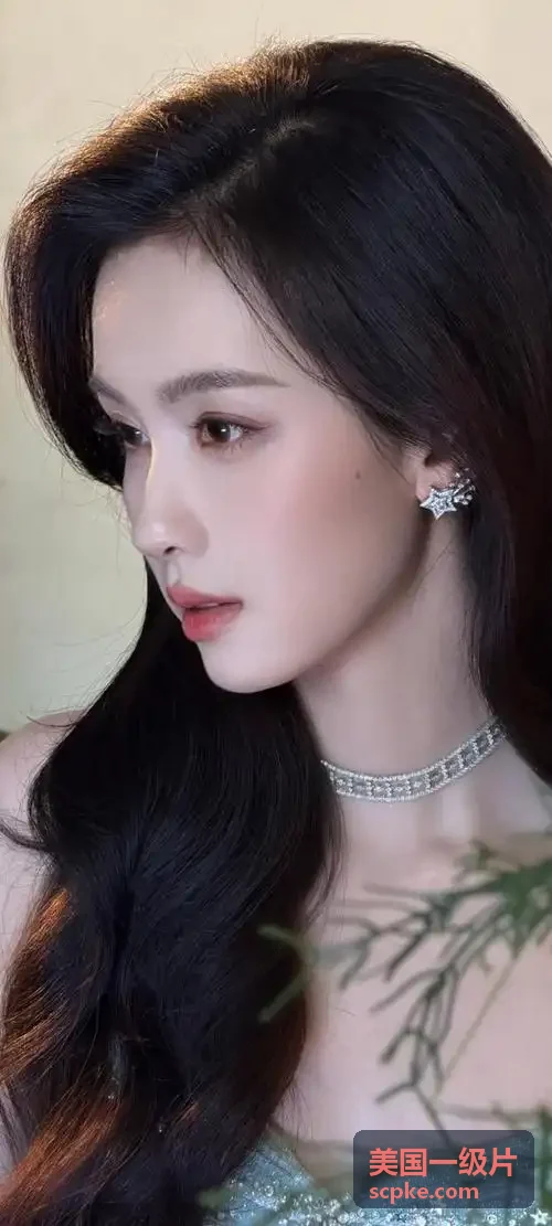 美国一级片 剧集 长安风云纪